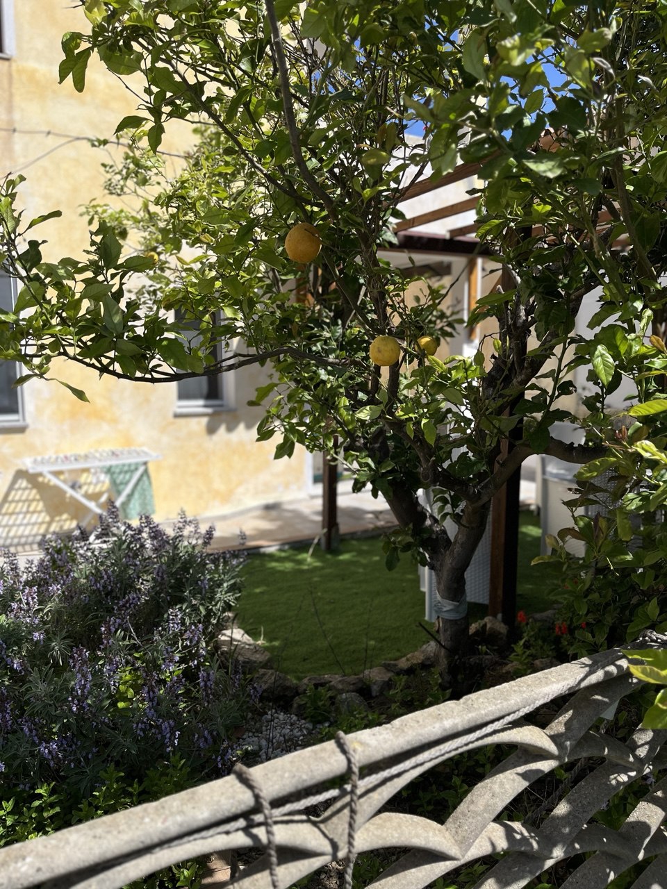 I Segreti dell'Arcipelago: Piscine Naturali, Fondali Nascosti e i Posti che Non Troverete su Google